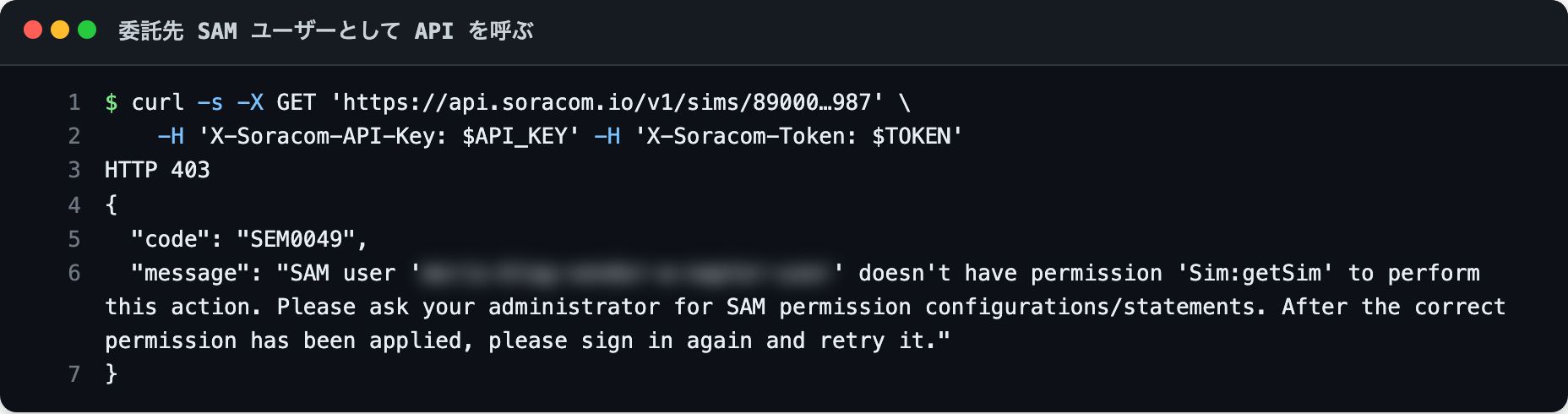 権限がない SIM への API アクセスが拒否された結果